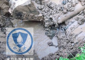 浔阳区水管漏水检测公司5